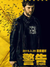 最新2019電影_2019電影大全/排行榜_好看的電影