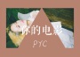 PYC歌曲歌詞大全_PYC最新歌曲歌詞