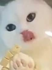 萌次元最新一期線上看_全集完整版高清線上看_好看的綜藝