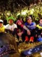 金炳萬的叢林法則最新一期線上看_全集完整版高清線上看_好看的綜藝