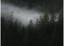 Riverselection專輯_RiversilversRiverselection最新專輯