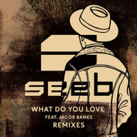 What Do You Love (Remixes)專輯_SeebWhat Do You Love (Remixes)最新專輯