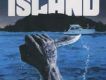The Island
