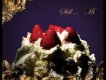 Mi歌曲歌詞大全_Mi最新歌曲歌詞