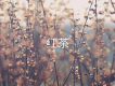 葛雨晴歌曲歌詞大全_葛雨晴最新歌曲歌詞
