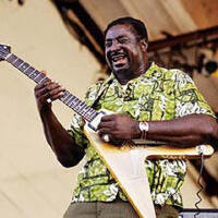 Albert King圖片照片_Albert King