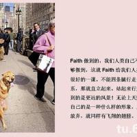 Faith & Disease圖片照片_Faith & Disease