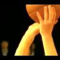 SHAKA LABBITS圖片照片_SHAKA LABBITS