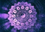 Zodiac專輯_MaddixZodiac最新專輯