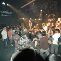 Turdus Musicus圖片照片_Turdus Musicus