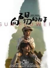 馴龍高手番外篇：龍的禮物（微電影）線上看_高清完整版線上看 - 蟲蟲電影