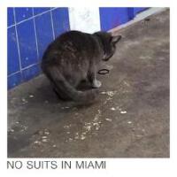 No Suits In Miami圖片照片_照片寫真