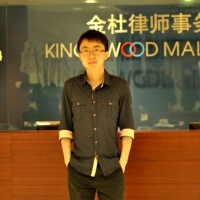LLM圖片照片_LLM