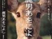 鹿男與美麗的奈良歌曲歌詞大全_鹿男與美麗的奈良最新歌曲歌詞