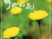 天韻詩歌歌曲歌詞大全_天韻詩歌最新歌曲歌詞