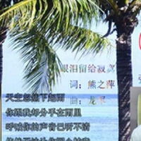 DJ張帥圖片照片_DJ張帥