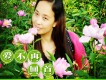 風語歌曲歌詞大全_風語最新歌曲歌詞
