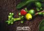 Day & Night專輯_Moonlight Dub XperimDay & Night最新專輯