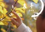 伊昔歌曲歌詞大全_伊昔最新歌曲歌詞