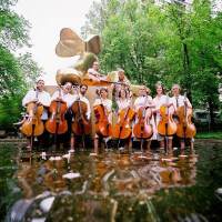 Portland Cello Project圖片照片_Portland Cello Project