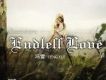 Endless Love Ⅵ