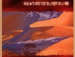 個人專輯歌曲歌詞大全_個人專輯最新歌曲歌詞