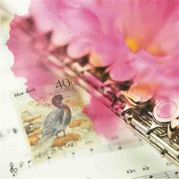 線上熱搜歌曲系列9