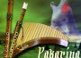 Pakarina最新歌曲_最熱專輯MV_圖片照片