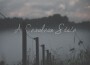 Singles 專輯_A Cerulean StateSingles 最新專輯