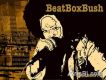 B-Box圖片照片
