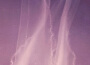 Fluctuation專輯_DycideFluctuation最新專輯