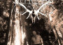 Wild's Reprisal