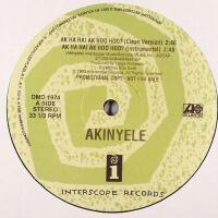 Akinyele圖片照片_照片寫真