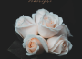 The Kid LAROI, Justin Bieber - STAY (DCXX Remix)專輯_DCXXThe Kid LAROI, Justin Bieber - STAY (DCXX Remix)最新專輯