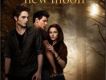 暮光之城：新月 The Twilight