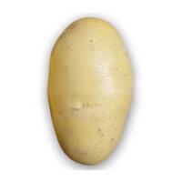 Potito圖片照片_Potito