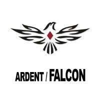 Joseph Falcon最新專輯_新專輯大全_專輯列表