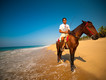 Horsebeach圖片照片