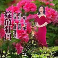 綻放牡丹