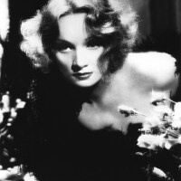Petula Clark圖片照片_Petula Clark
