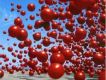 The Cranberries歌曲歌詞大全_The Cranberries最新歌曲歌詞