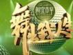 舞出我的人生歌曲歌詞大全_舞出我的人生最新歌曲歌詞