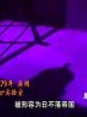 少年成長說 2011最新一期線上看_全集完整版高清線上看_好看的綜藝