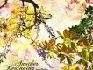 Anan Ryoko歌曲歌詞大全_Anan Ryoko最新歌曲歌詞