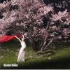 SunSet Swish歌曲歌詞大全_SunSet Swish最新歌曲歌詞