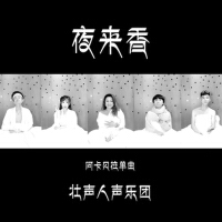 夜來香（阿卡貝拉單曲）專輯_壯聲人聲樂團夜來香（阿卡貝拉單曲）最新專輯