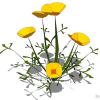 小花圖片照片_小花