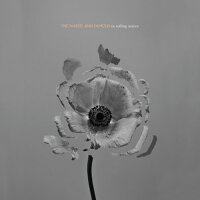 In Rolling Waves專輯_The Naked and FamousIn Rolling Waves最新專輯