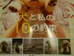 犬と私の10の約定圖片照片