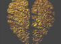 Heart Of Gold EP專輯_SCOOTIEHeart Of Gold EP最新專輯